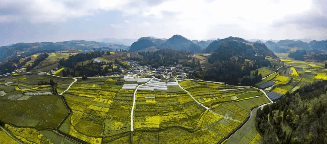 永乐高70net(中国)有限公司-BinG百科